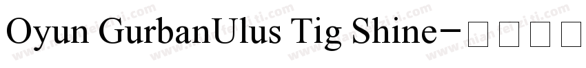Oyun GurbanUlus Tig Shine字体转换